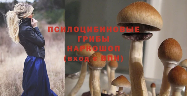 a pvp Алексин