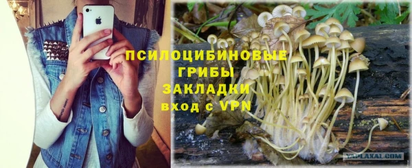 тгк Алзамай