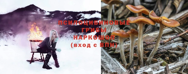 дурь Алексеевка